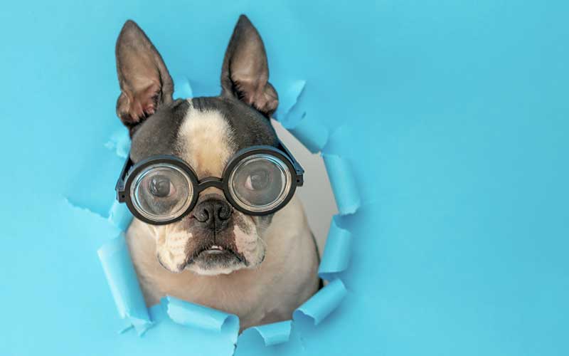 Cos’è la miopia e come si manifesta